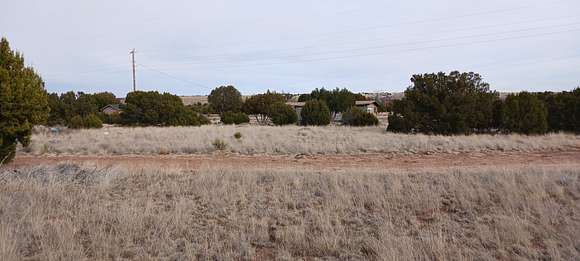 0.34 Acres of Residential Land for Sale in Concho, Arizona