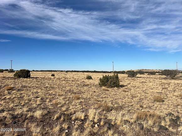 3.52 Acres of Residential Land for Sale in Concho, Arizona