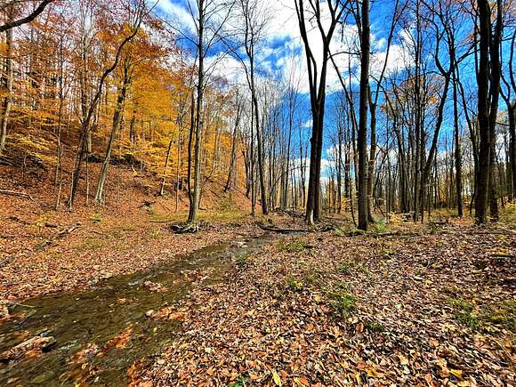 102 Acres of Recreational Land for Sale in Cherry Creek, New York