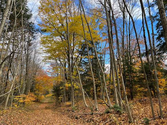 18 Acres of Recreational Land for Sale in Cherry Creek, New York