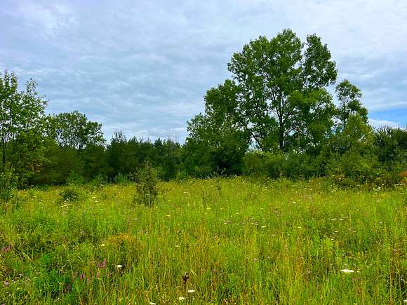29.6 Acres of Recreational Land for Sale in Orchard Park, New York