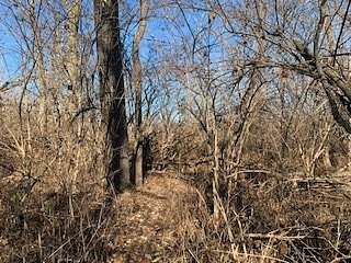 0.52 Acres of Residential Land for Sale in Algonquin, Illinois