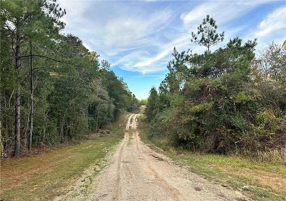 13 Acres of Land for Sale in Chunchula, Alabama