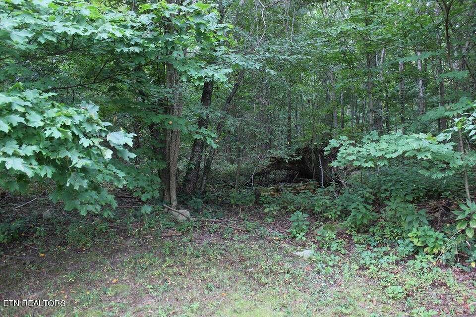54.2 Acres of Land for Sale in Etowah, Tennessee