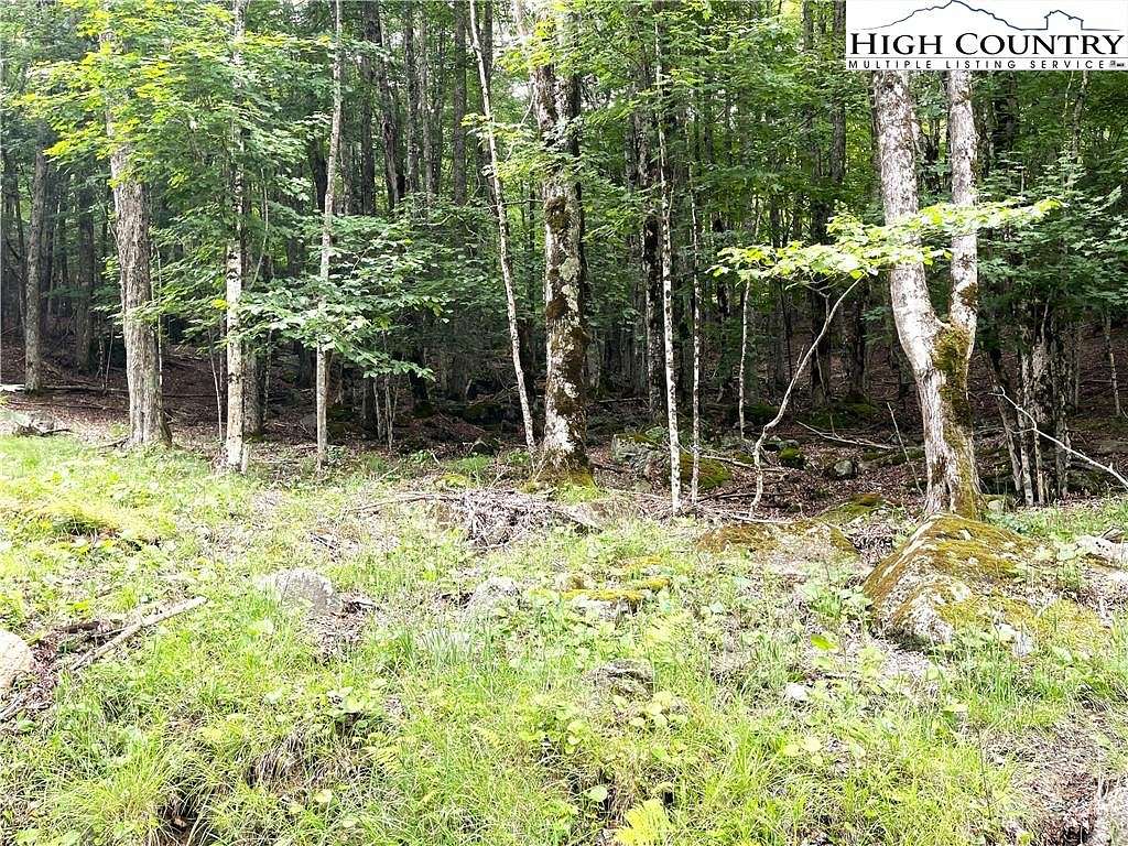0.31 Acres of Land for Sale in Beech Mountain, North Carolina