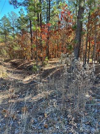 4.6 Acres of Residential Land for Sale in Cameron, North Carolina