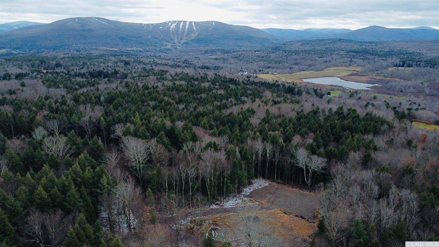 32.6 Acres of Land for Sale in Windham, New York