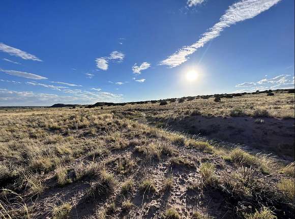 1 Acre of Residential Land for Sale in Chambers, Arizona