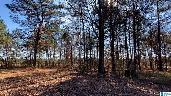 38.1 Acres of Recreational Land for Sale in Steele, Alabama