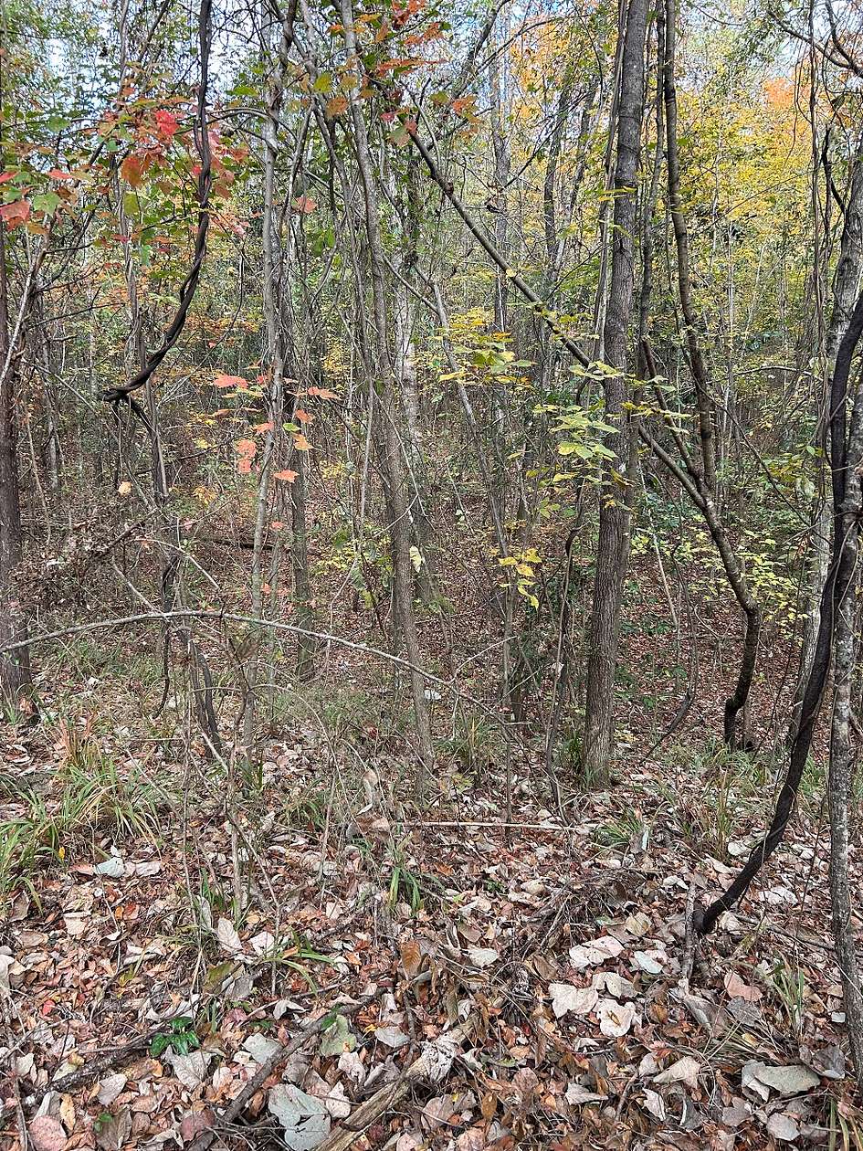 28 Acres of Recreational Land for Sale in Arlington, Alabama LandSearch