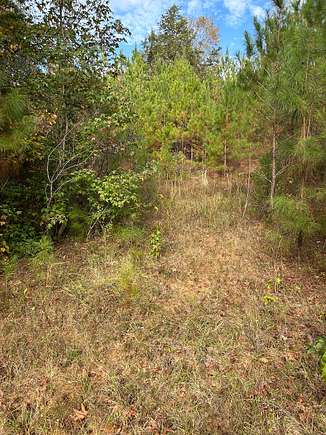 28 Acres of Recreational Land for Sale in Arlington, Alabama