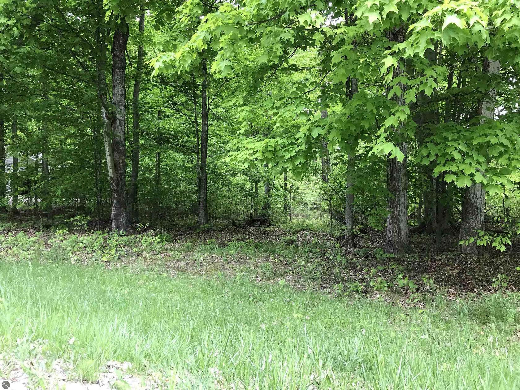 40 Acres of Recreational Land for Sale in Traverse City, Michigan