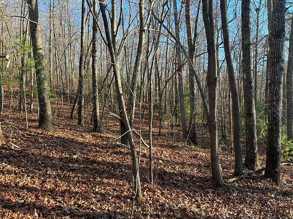 1.06 Acres of Land for Sale in Hayesville, North Carolina