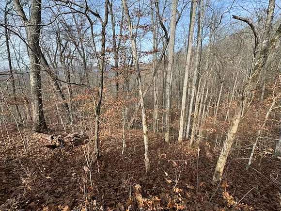0.89 Acres of Residential Land for Sale in Millshoal Township, North Carolina
