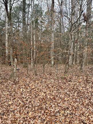 11.5 Acres of Recreational Land for Sale in Etta, Mississippi