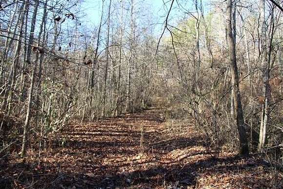 40 Acres of Agricultural Land for Sale in Corbin, Kentucky