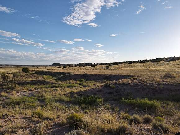 1 Acre of Land for Sale in Chambers, Arizona