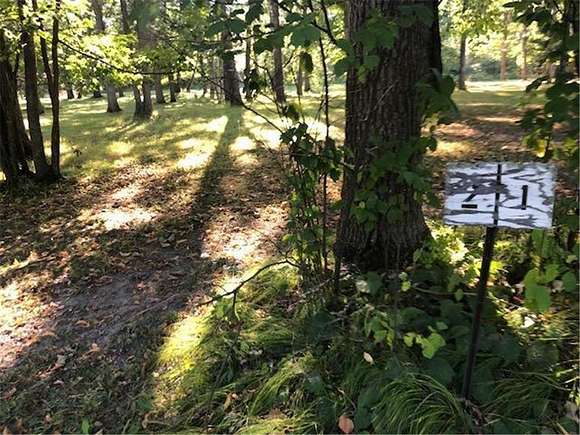 0.73 Acres of Residential Land for Sale in Leech Lake Township, Minnesota