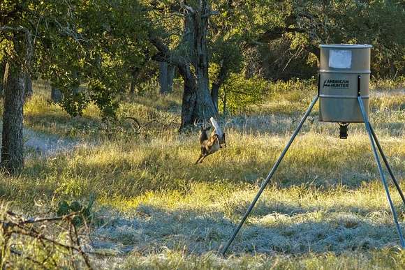 25 Acres of Agricultural Land for Sale in Fredericksburg, Texas