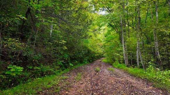 5.4 Acres of Land for Sale in Cosby, Tennessee