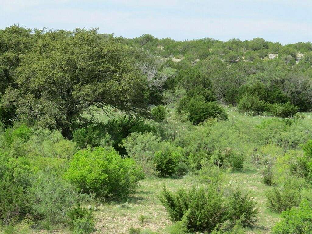 39.4 Acres of Recreational Land & Farm for Sale in Rocksprings, Texas