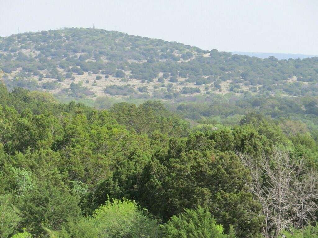 89 Acres of Recreational Land & Farm for Sale in Rocksprings, Texas