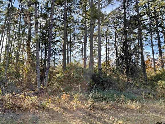 0.3 Acres of Residential Land for Sale in Holly Lake Ranch, Texas