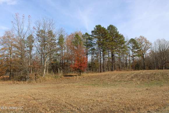 5 Acres of Residential Land for Sale in Oakland, Mississippi