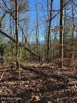 34.3 Acres of Land for Sale in Walland, Tennessee