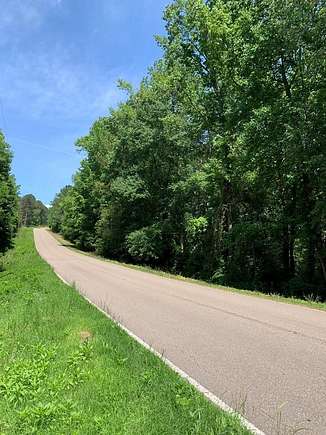 96.7 Acres of Recreational Land for Sale in Fruithurst, Alabama