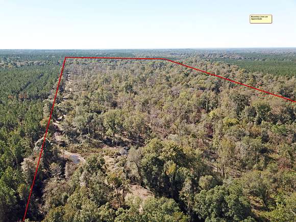165 Acres of Recreational Land & Farm for Sale in Lufkin, Texas
