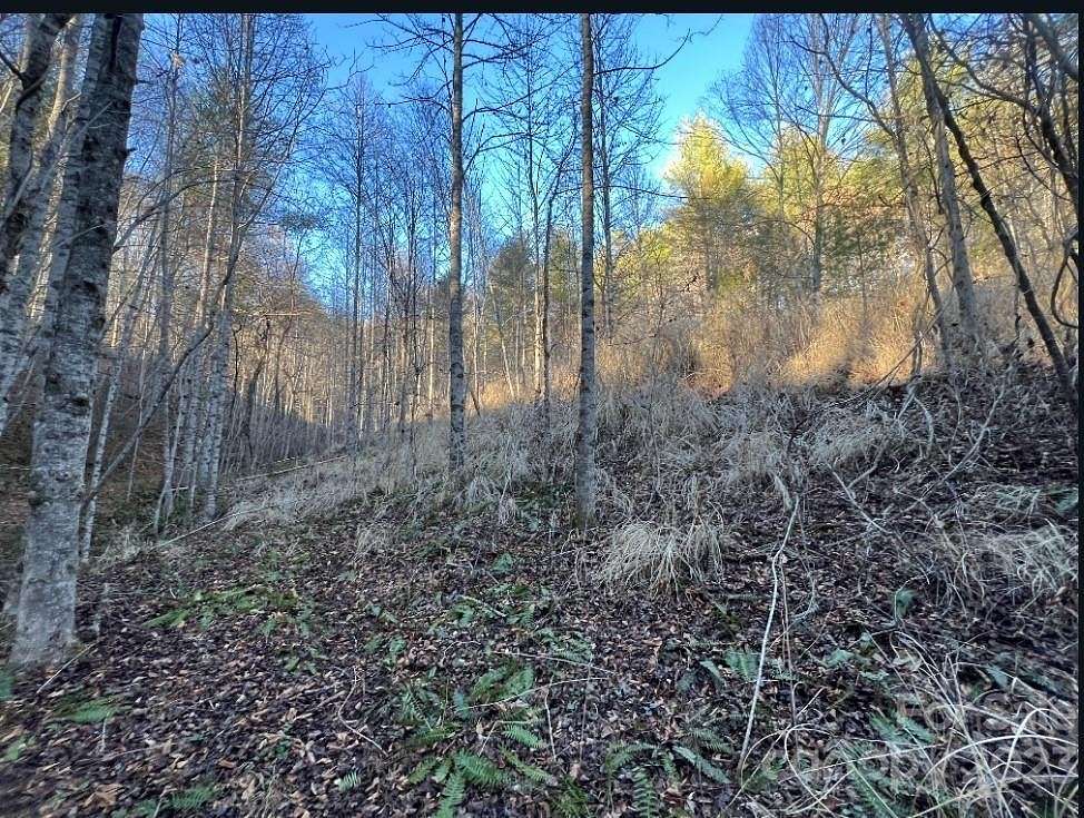 7.48 Acres of Residential Land for Sale in Marshall, North Carolina