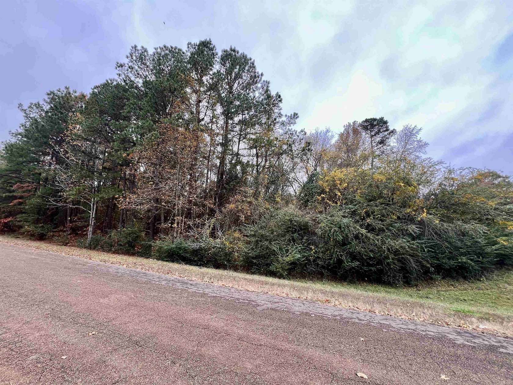 0.65 Acres of Land for Sale in Marshall, Texas