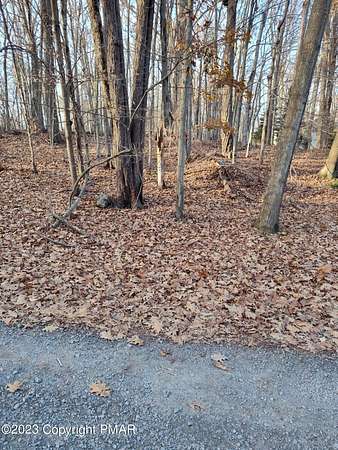 0.22 Acres of Residential Land for Sale in Pocono Lake, Pennsylvania