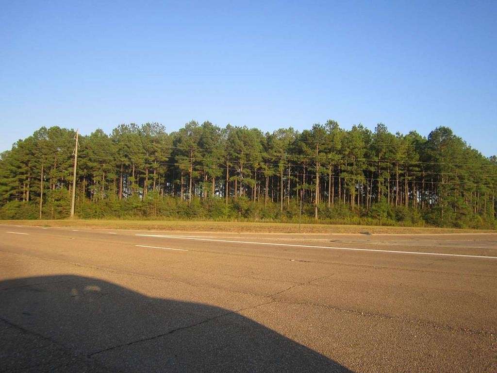 24 Acres of Land for Sale in Prentiss, Mississippi