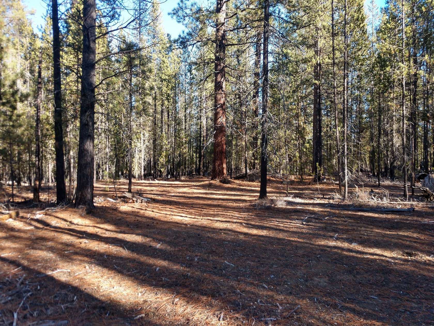 5 Acres of Recreational Land for Sale in Crescent, Oregon