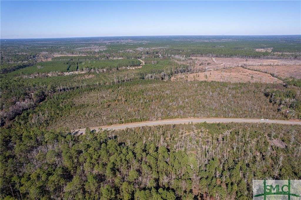 36 Acres of Land for Sale in Ellabell, Georgia