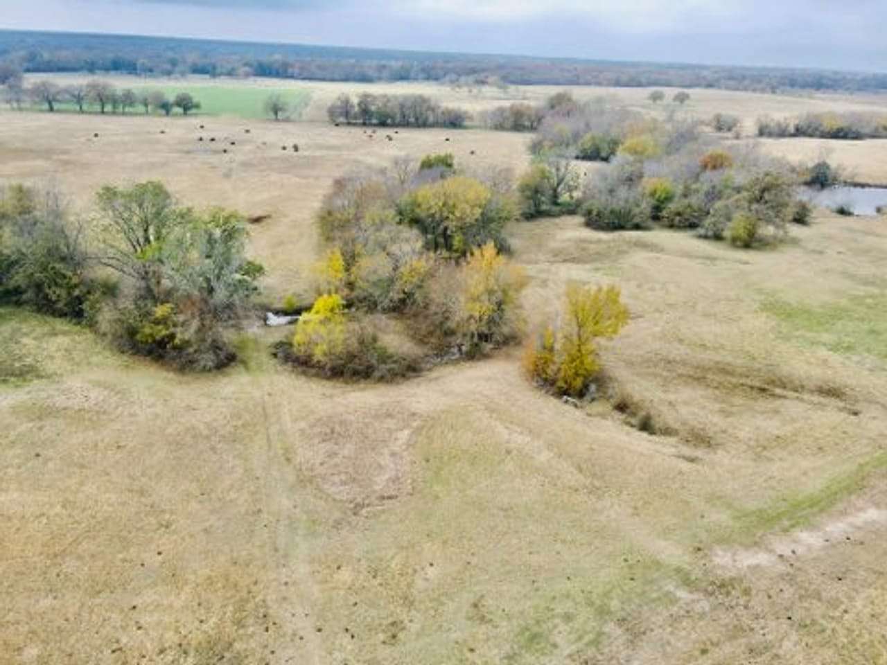 10 Acres of Recreational Land for Sale in Dike, Texas