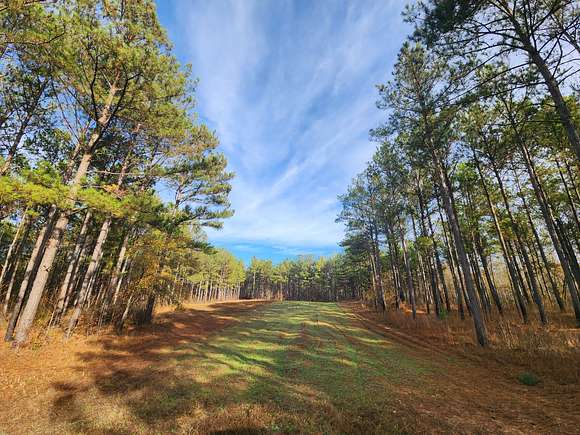 354 Acres of Recreational Land for Sale in Lanett, Alabama