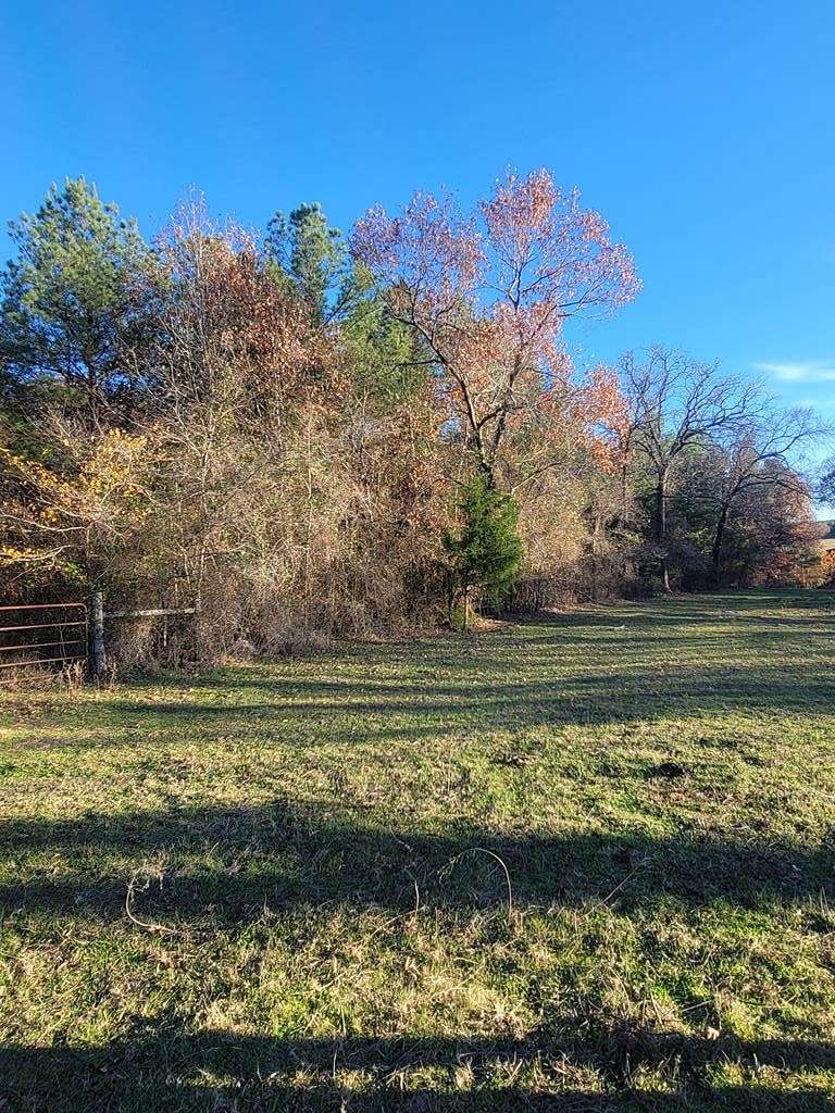 24.4 Acres of Agricultural Land for Sale in Palestine, Texas