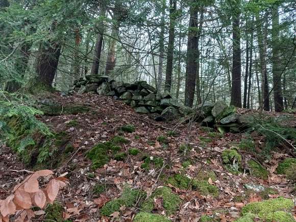 14 Acres of Land for Sale in Alstead, New Hampshire