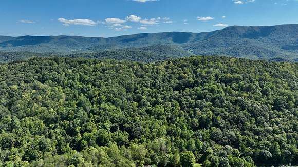 43.8 Acres of Recreational Land for Sale in Oakvale, West Virginia