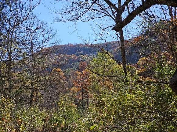 42 Acres of Land for Sale in Flat Top, West Virginia