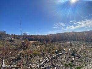 34.5 Acres of Land for Sale in Oneida, Tennessee