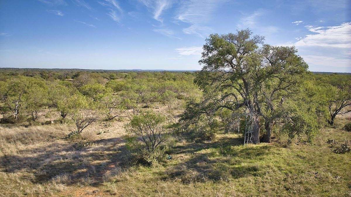 26 Acres of Recreational Land & Farm for Sale in Mason, Texas
