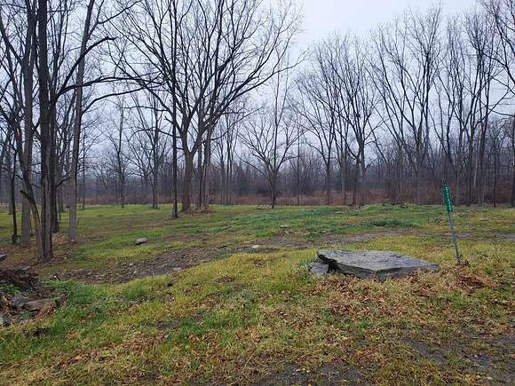 9.7 Acres of Residential Land for Sale in Lodi, New York