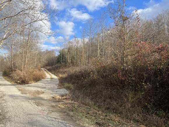 1,000 Acres of Recreational Land & Farm for Sale in Hitchins, Kentucky