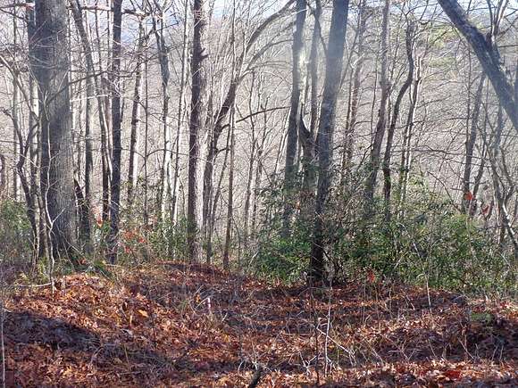 1.24 Acres of Residential Land for Sale in Whittier, North Carolina