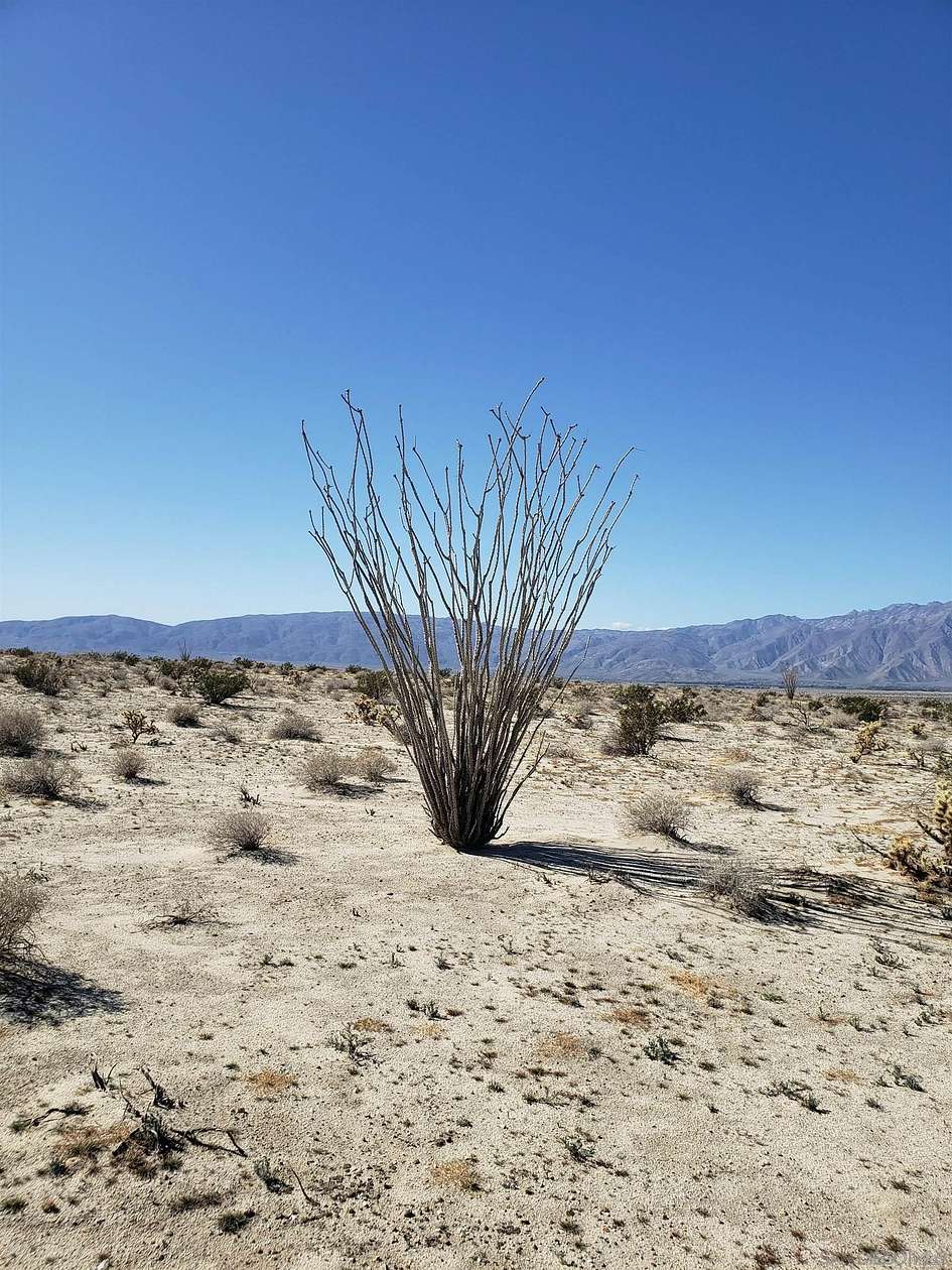 40 Acres of Land for Sale in Borrego Springs, California