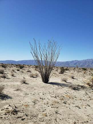 40 Acres of Land for Sale in Borrego Springs, California